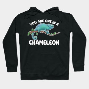 You Are One In A Chameleon Lizard owner Gift Hoodie